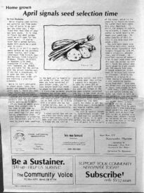 Community Voice Vol 1, Issue 2, Page 6