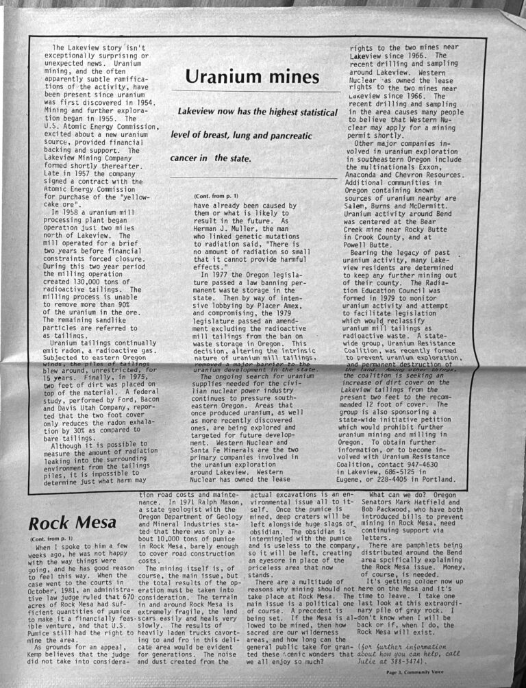 Community Voice Vol 1, Issue 2, Page 3