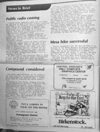 Community Voice, Vol 1, Issue 09, page 02