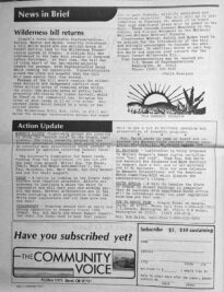 Community Voice, Vol 1, Issue 10, page 02